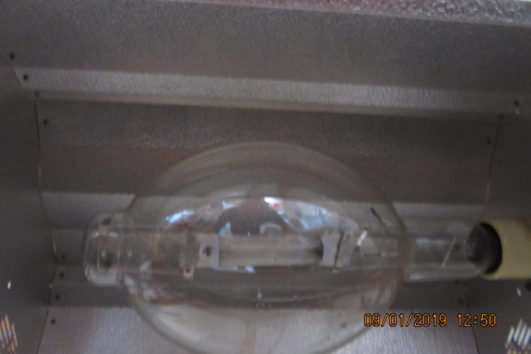 IMG_9797 IMG_9797