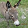 IMG_3423 IMG_3423