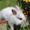 IMG_3781 2 IMG_3781 2