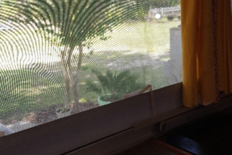 20191030_131640 20191030_131640
