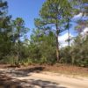 10 Acres of Vacant Land in Sebring Florida 10 Acres of Vacant Land in Sebring Florida