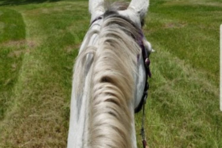 Screenshot_20191006-143615_Photos Screenshot_20191006-143615_Photos