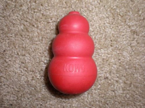 stuffed kongs for dogs