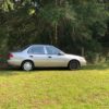 IMG_1552 IMG_1552
