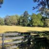Property2 Property2
