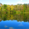 1 Lake 1 Lake