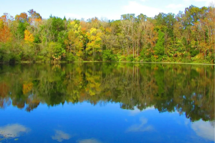1 Lake 1 Lake