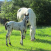IMG_6489 IMG_6489