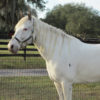 IMG_0007 IMG_0007