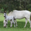 IMG_6482 IMG_6482