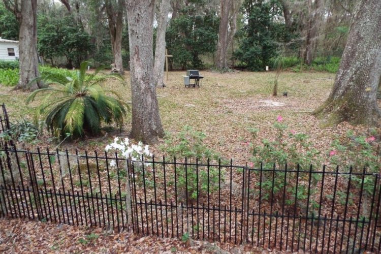 Scenic side yard Scenic side yard