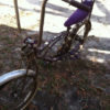 IMG_1661 IMG_1661