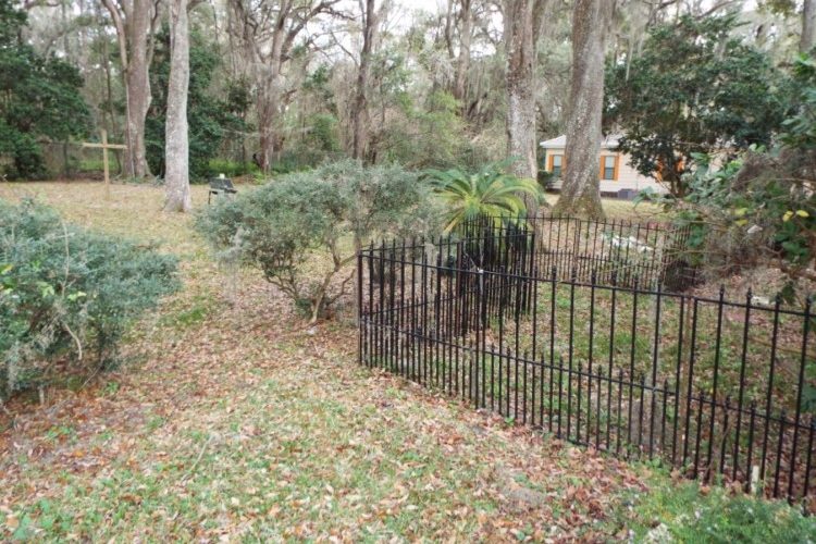 Beautiful front & side yard Beautiful front & side yard