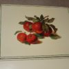 placemats (2) placemats (2)