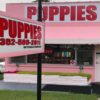 Pink puppy shop Belleview, Fl puppies for sale Pink puppy shop Belleview, Fl puppies for sale