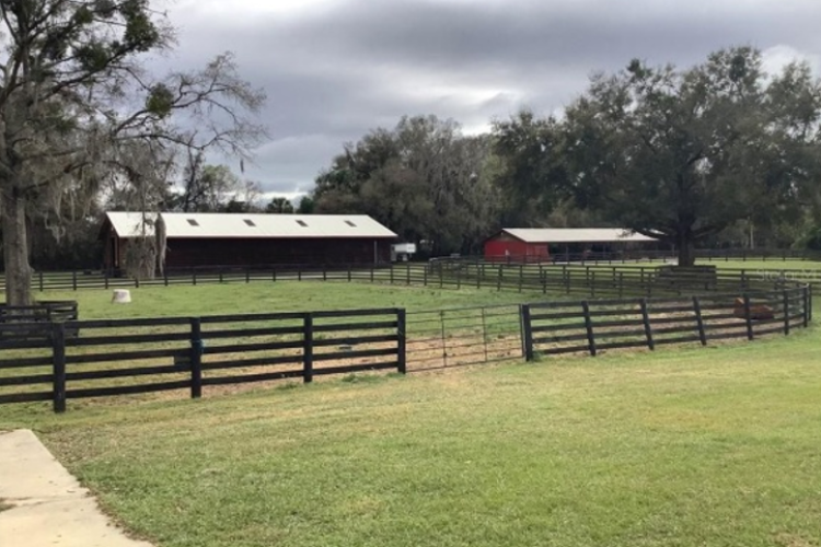 barn 1 barn 1
