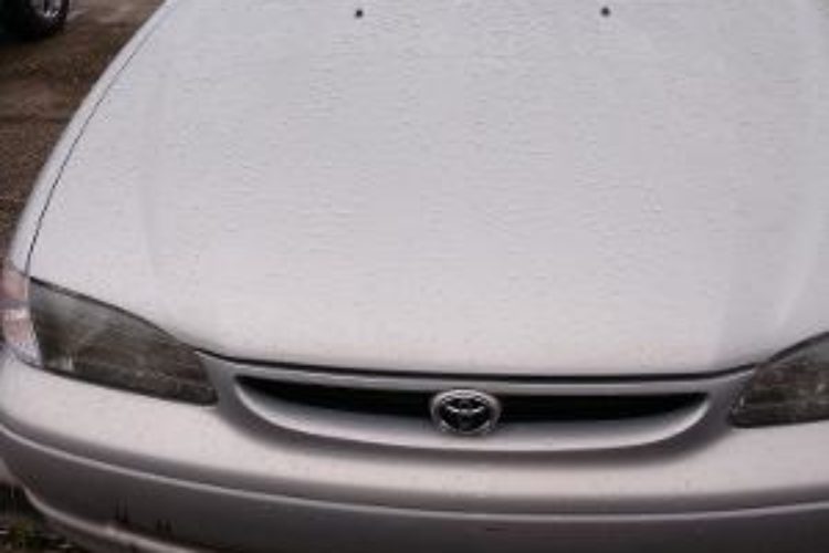 Front View no cracks in windshield Front View no cracks in windshield
