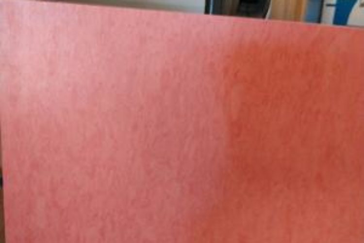 Coral tile 12 x 12 Coral tile 12 x 12