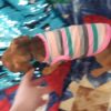 Puppies in Central Florida for sale, Puppy store in Bellevue Florida, puppies available for sale, tiny puppies for sale, teacup puppy for sale teacup puppy shop Central Florida, puppies for sale Puppies in Central Florida for sale, Puppy store in Bellevue Florida, puppies available for sale, tiny puppies for sale, teacup puppy for sale teacup puppy shop Central Florida, puppies for sale