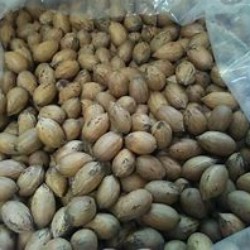 pecans in box