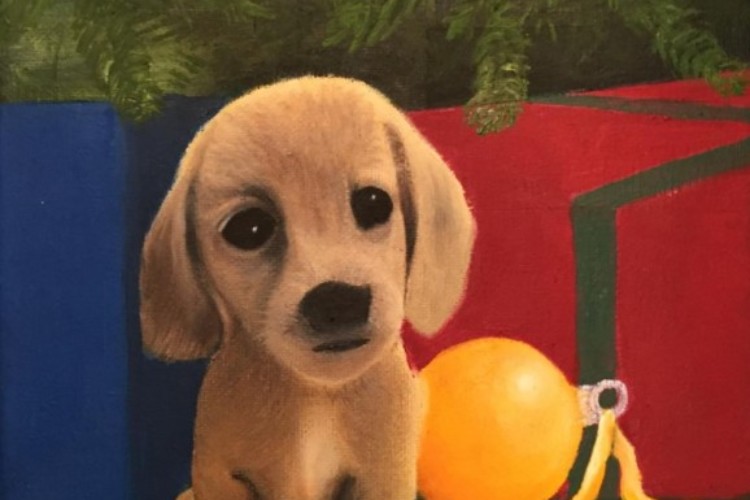 Puppy christmas Puppy christmas