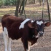 IMG_4709 IMG_4709