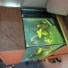 IMG_2047 IMG_2047