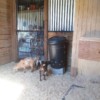 Yippee - new feed barrel Yippee - new feed barrel