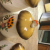 IMG_0145 IMG_0145