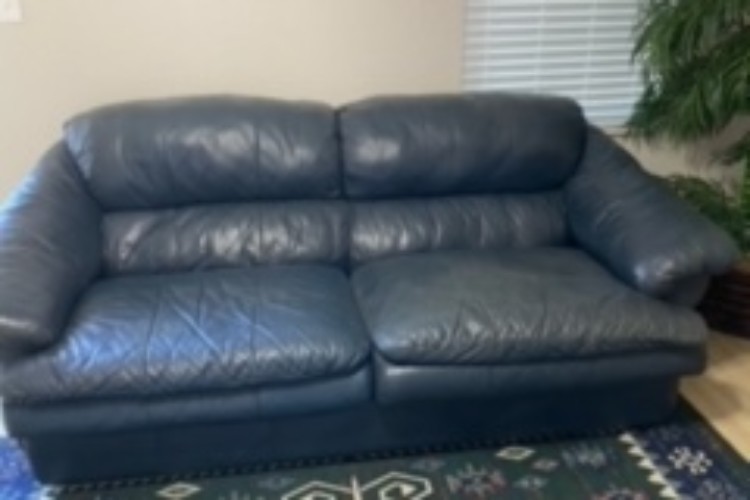 Couch Rug Couch Rug