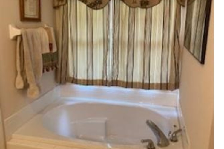 Master bathroom tub Master bathroom tub