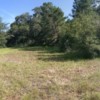 World Equestrian Center, Ocala, Horse Capital of the World World Equestrian Center, Ocala, Horse Capital of the World