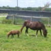 FB_IMG_1631140530899 FB_IMG_1631140530899
