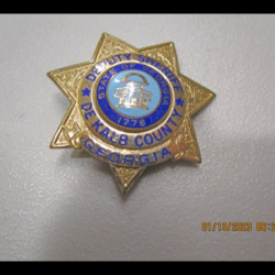 sheriffs badge