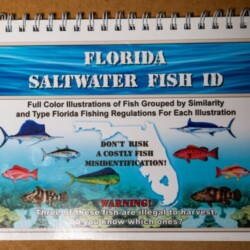 Florida Saltwater Fish Id-1