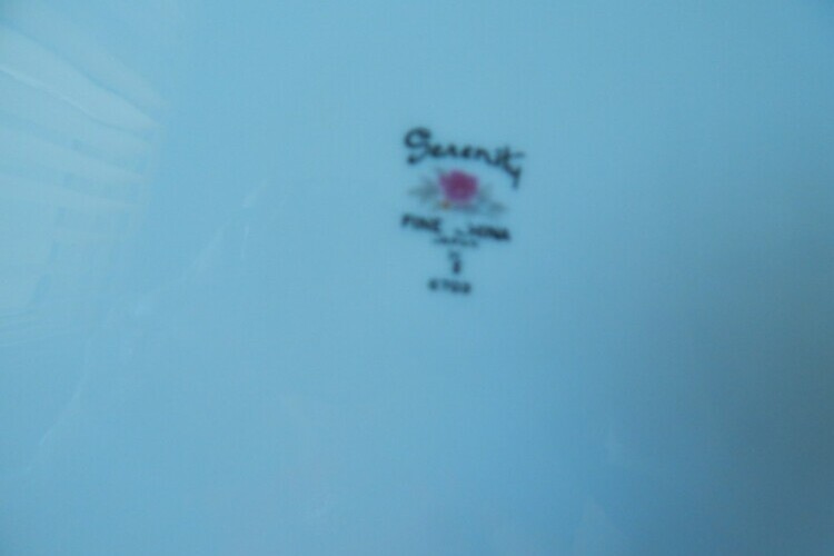 complete set of 8 dinnerware set (serenity bone china