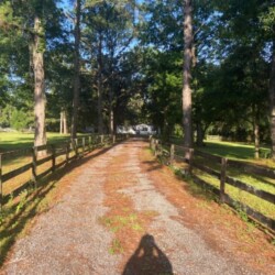 Driveway entering the 5 acre fenced lot
