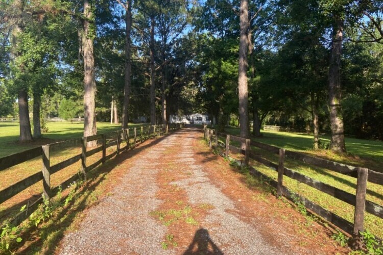 Driveway entering the 5 acre fenced lot