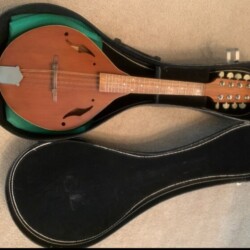 mandolin with case fr