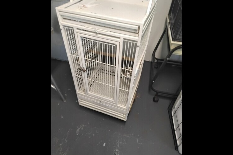 Bird Cages small birds