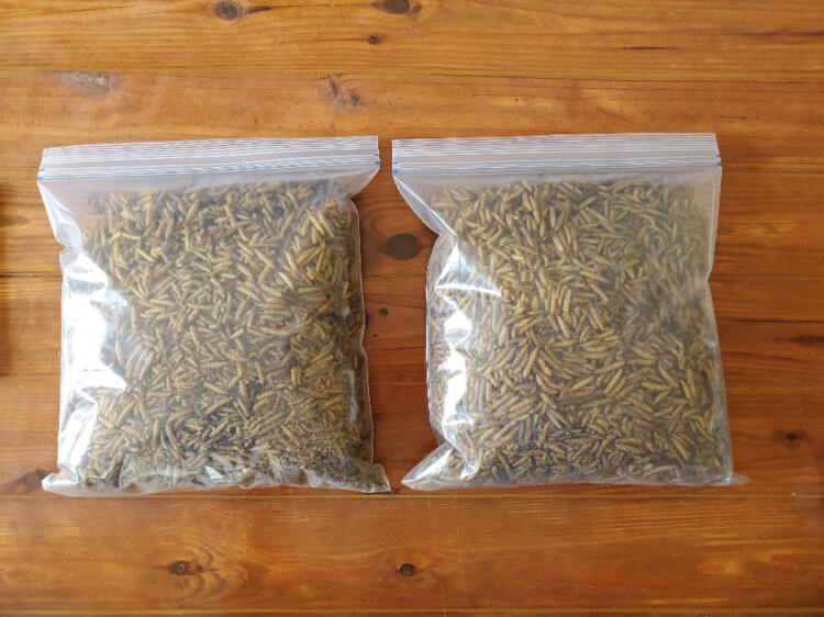 Dunnellon SPARR Building and Farm Supply Farm Swaps Ocala4Sale Buy