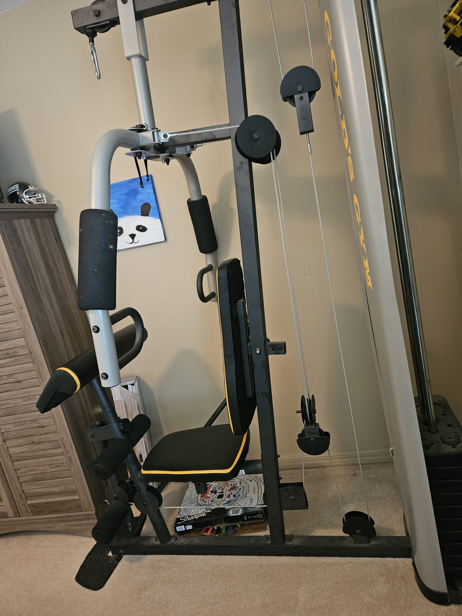 GOLDS GYM Exercise Equipment