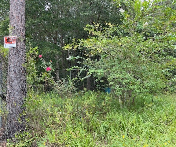 Mobile Home for Rent Photo 1