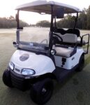 2019 Ezgo RXV electric Golf Cart