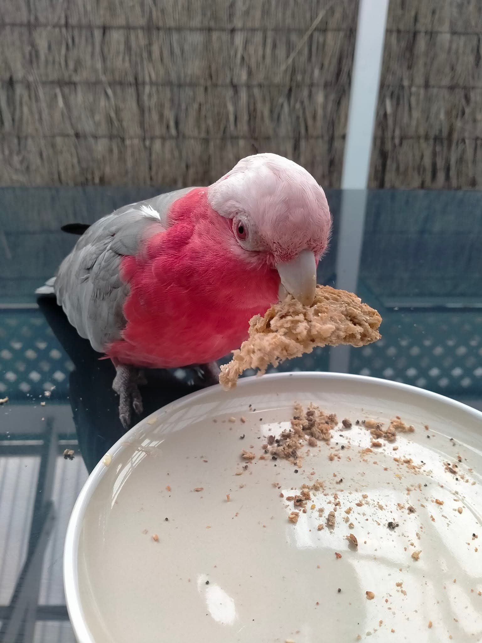 1000000191