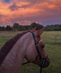 IMG_9766