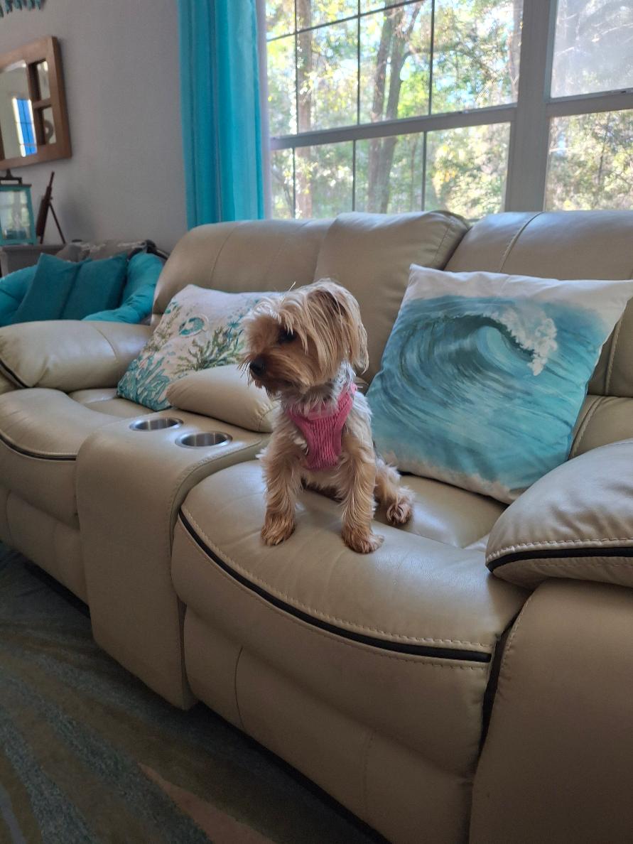 on couch2