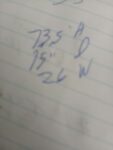 1000011531