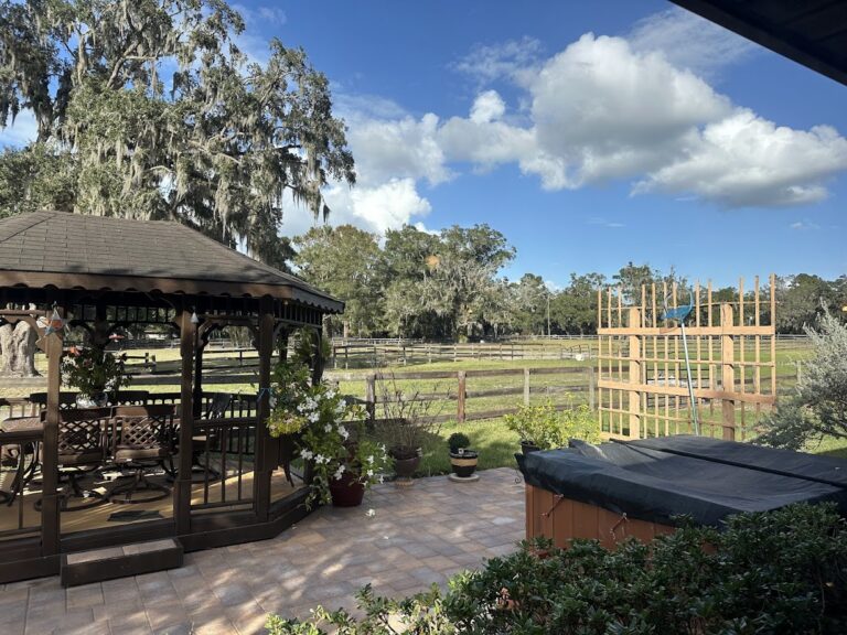 Jacuzzi and Gazebo (1)