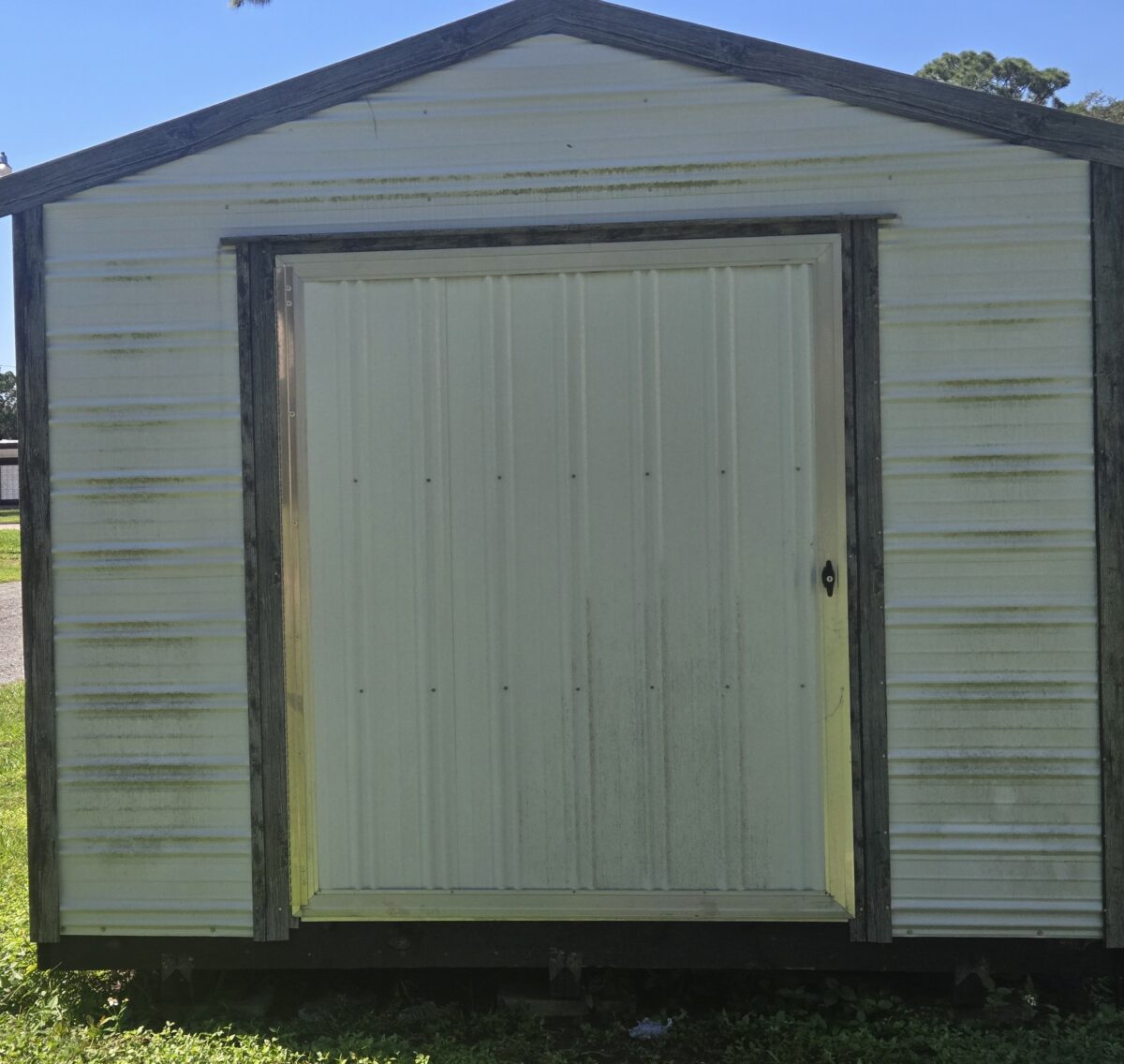 SHED1